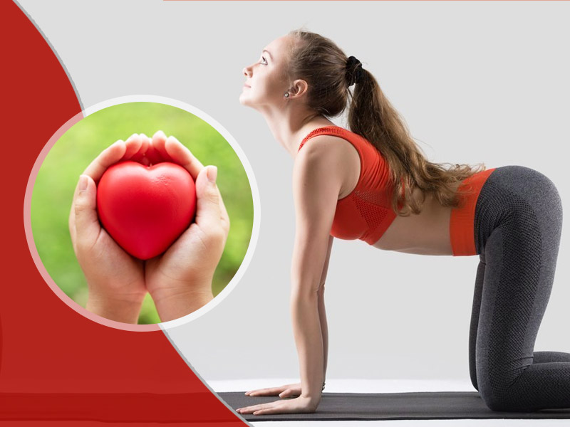 Yoga To Avoid Heart Attack